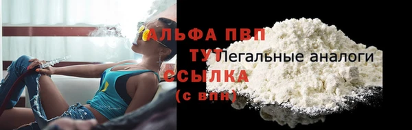 ПСИЛОЦИБИНОВЫЕ ГРИБЫ Лихославль
