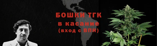 ПСИЛОЦИБИНОВЫЕ ГРИБЫ Лихославль