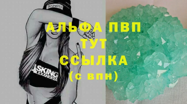 винт Магас