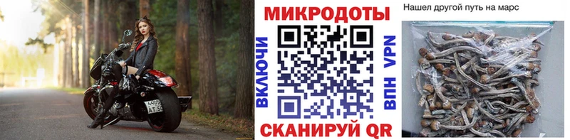Галлюциногенные грибы мицелий  Наволоки 